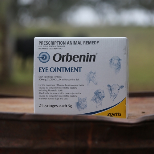 Orbenin Eye Ointment 24 pack