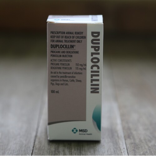 Duplocillin 100ml