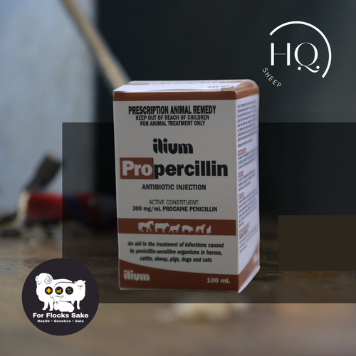 Propercillin 100ml