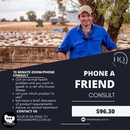 Phone a Friend Consult
