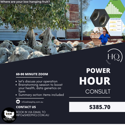 Power Hour Consult