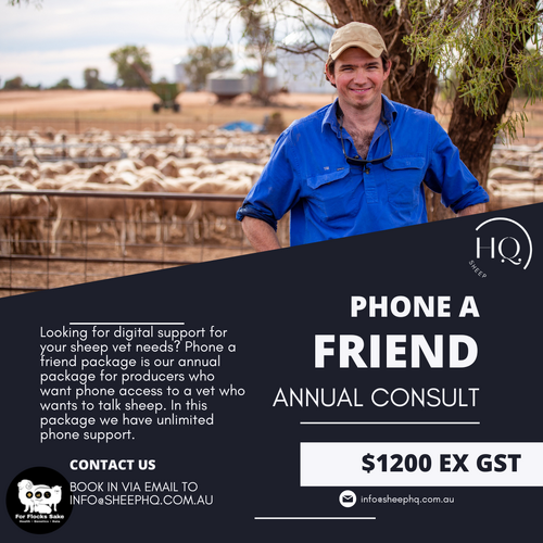 Phone a Friend Annual Consult