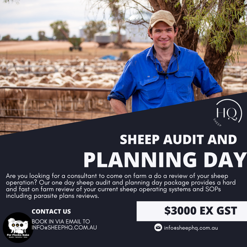Sheep Audit and Planning Day Package