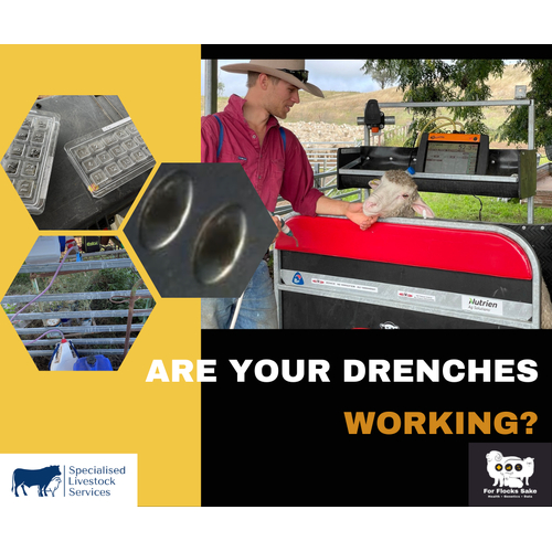 Drench Resistance Testing