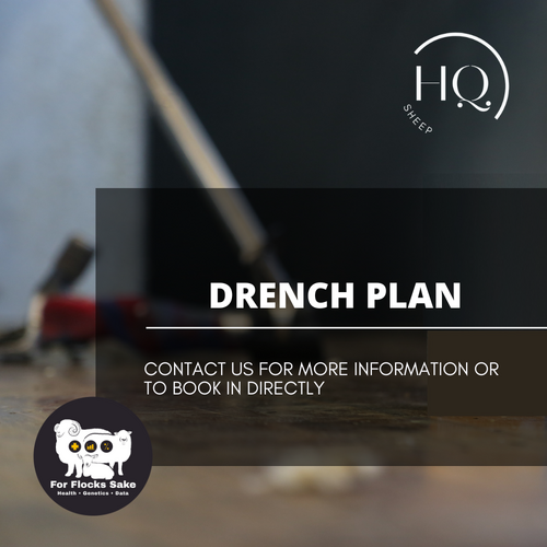 Drench Plan