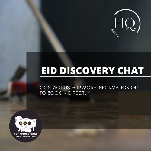 EID Discovery Chat