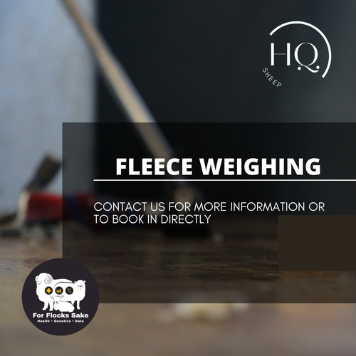 Fleece Weighing