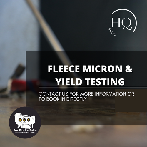 Fleece Micron and Yield Testing