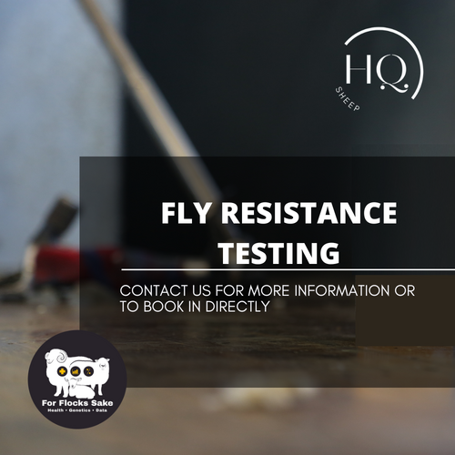 Fly Resistance Testing