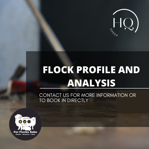 Flock Profile and Analysis