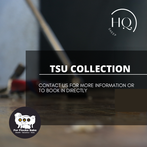 TSU Collection