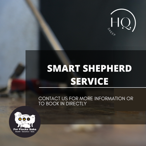 Smart Shepherd Service
