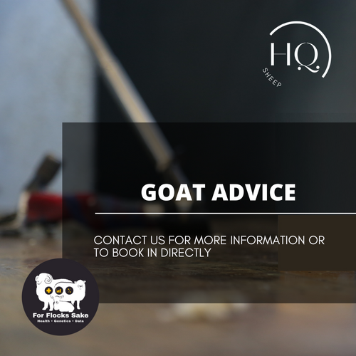 Goat Information Package