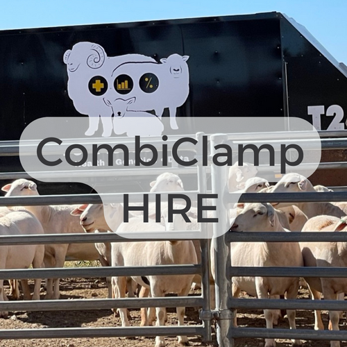 Combi Clamp Hire