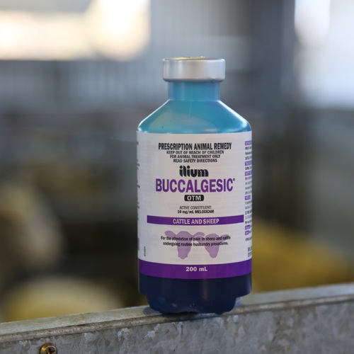 Buccalgesic 200mL