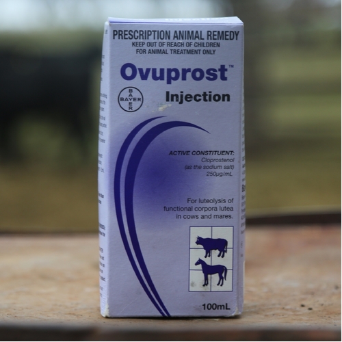 Ovuprost Injection 100mL