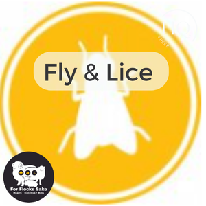Fly and Lice