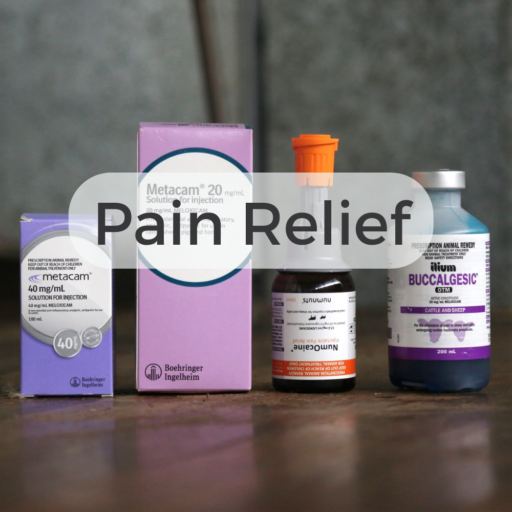 Pain Relief